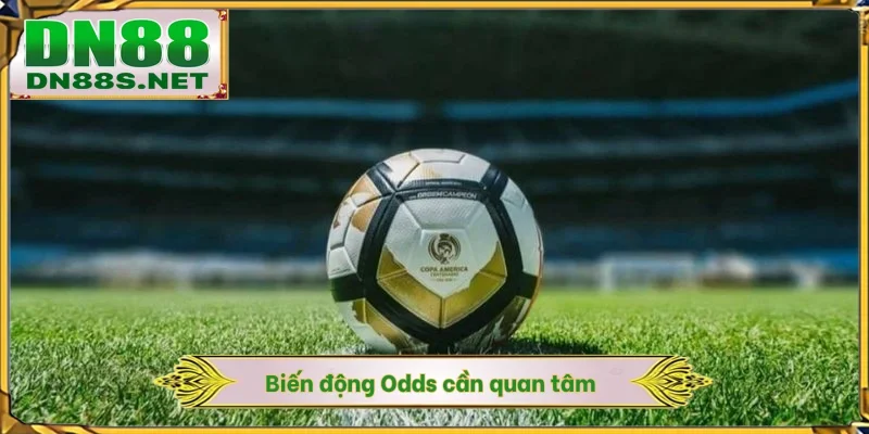 Biến động Odds cần quan tâm