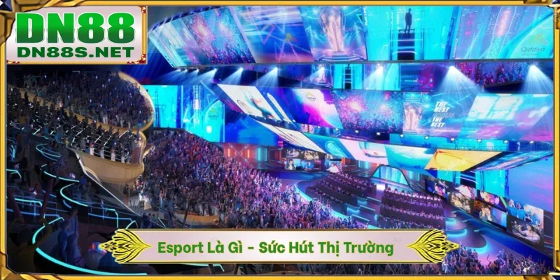 Esport Là Gì - Sức Hút Của Thị Trường 1.5 Tỷ USD Tại DN88