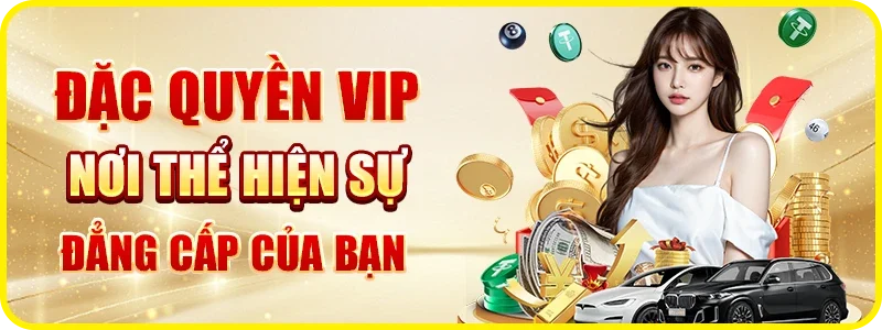 Đặc quyền VIP chỉ có tại DN88