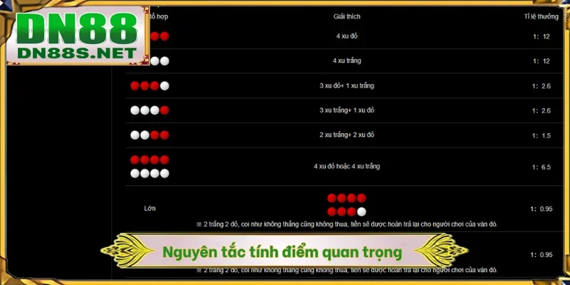 Nguyên tắc tính điểm quan trọng